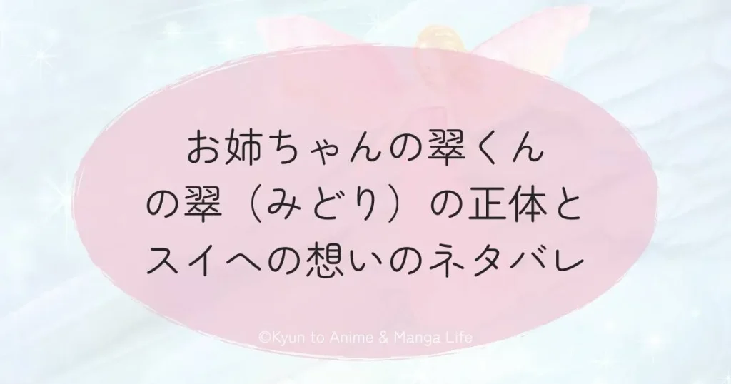 お姉ちゃんの翠くんの翠（みどり）の正体とスイへの想いのネタバレ