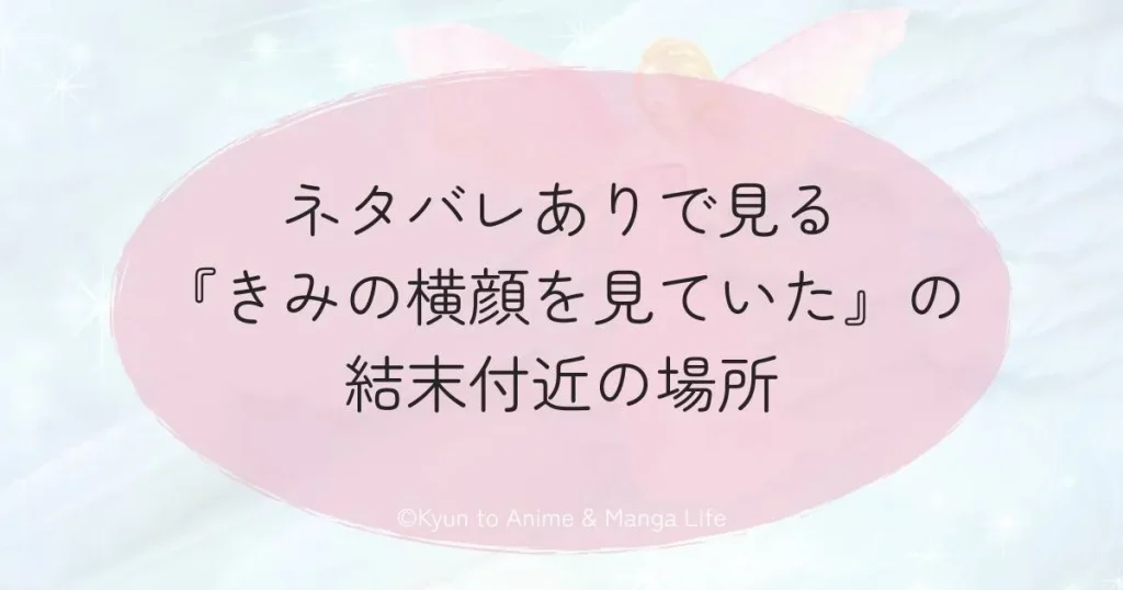 ネタバレありで見る『きみの横顔を見ていた』の結末付近の場所