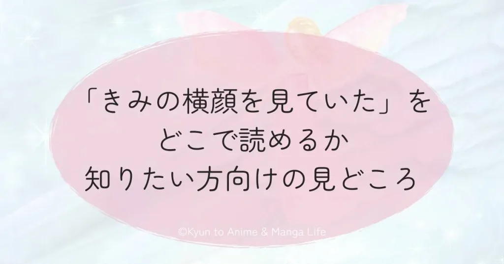「きみの横顔を見ていた」をどこで読めるか知りたい方向けの見どころ